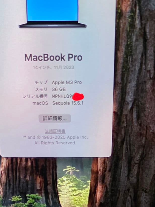 Apple MacBook Pro 14インチ M3 Pro 36GB