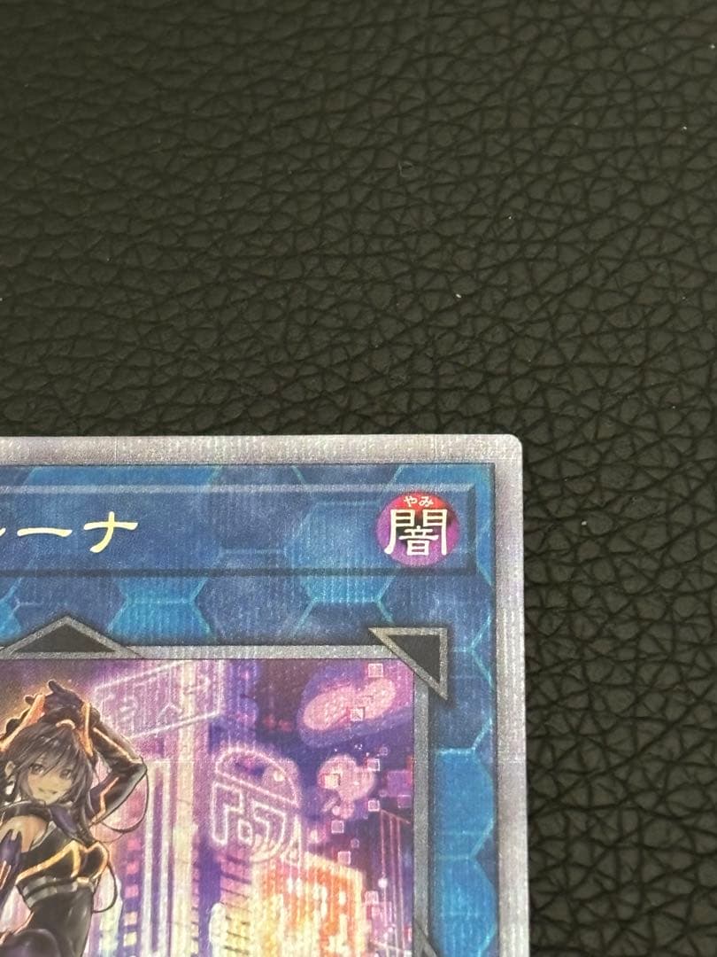 遊戯王 IPマスカレーナ 25thシク 絵違い