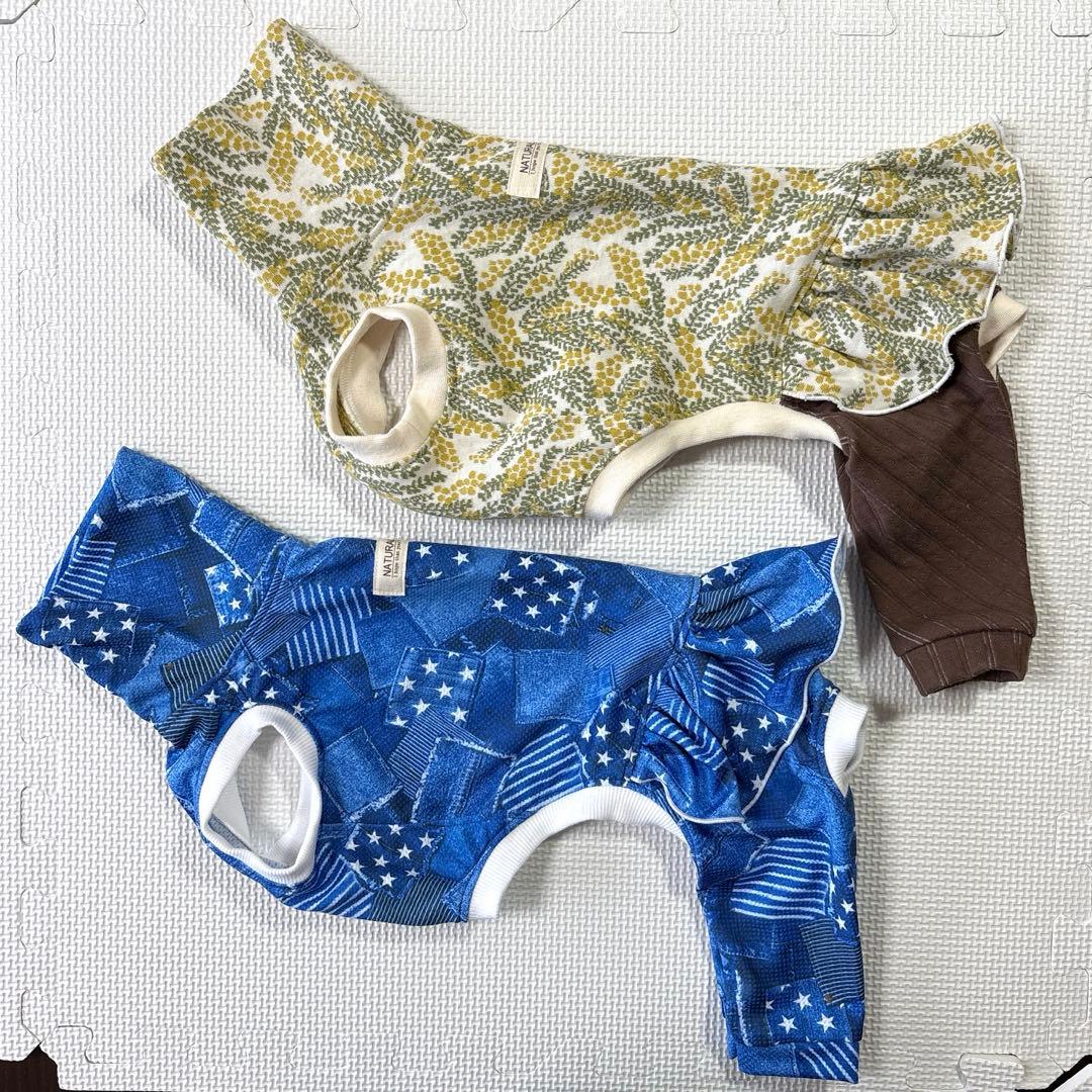 犬服　イタグレ服