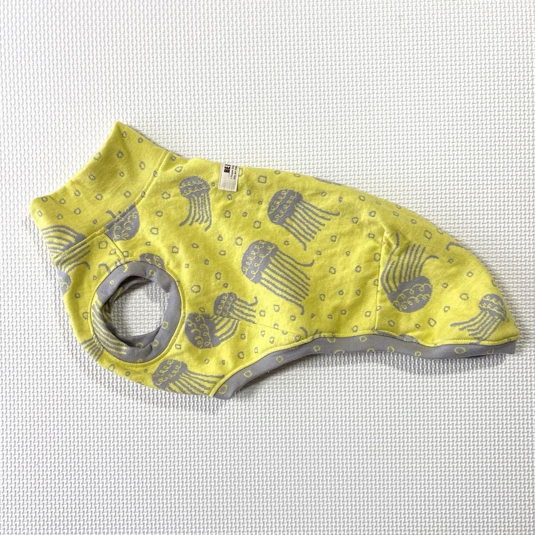 犬服　イタグレ服