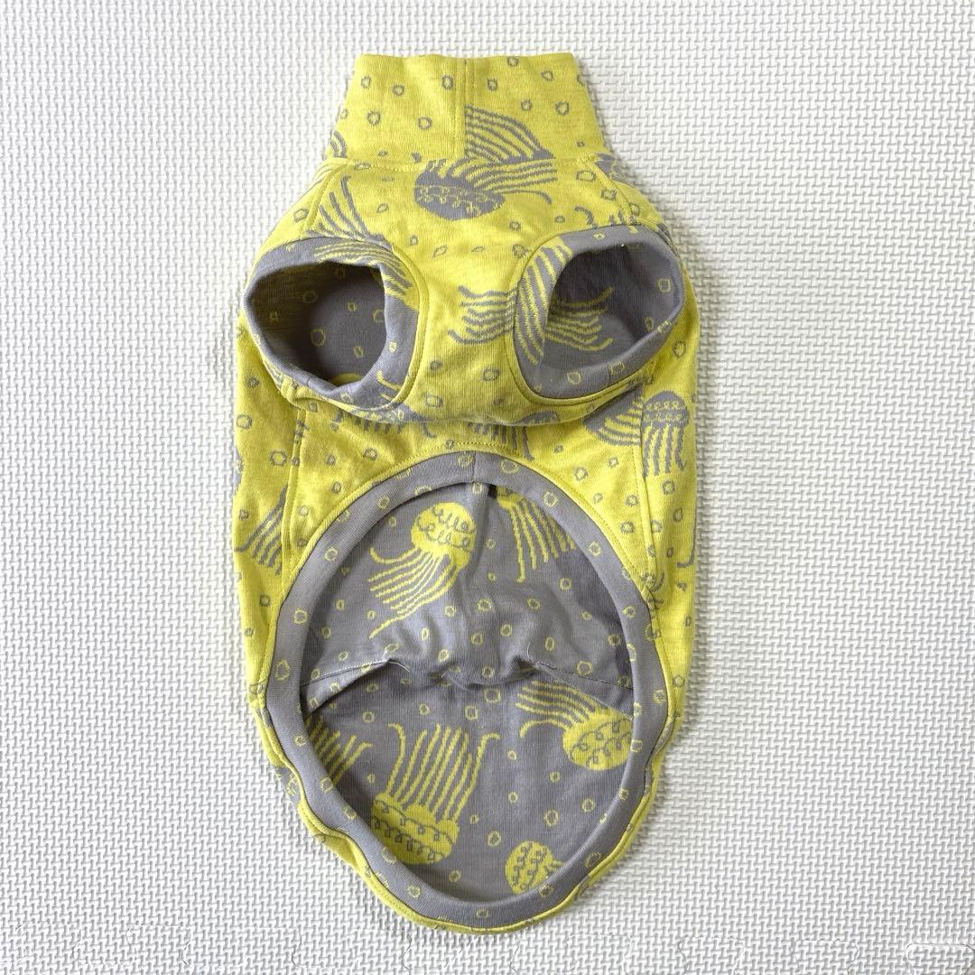 犬服　イタグレ服