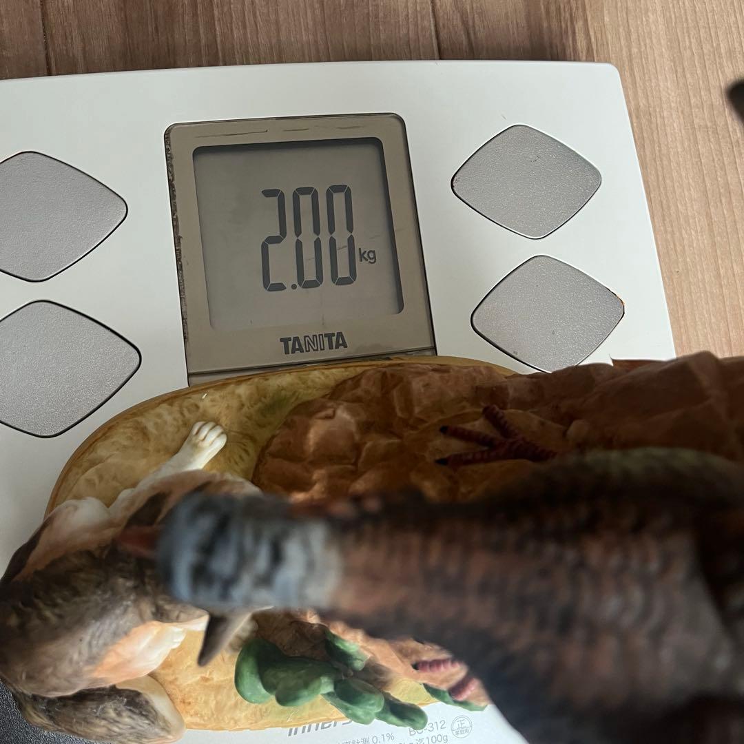 ワイルドターキー 陶器ボトル ターキー コヨーテ