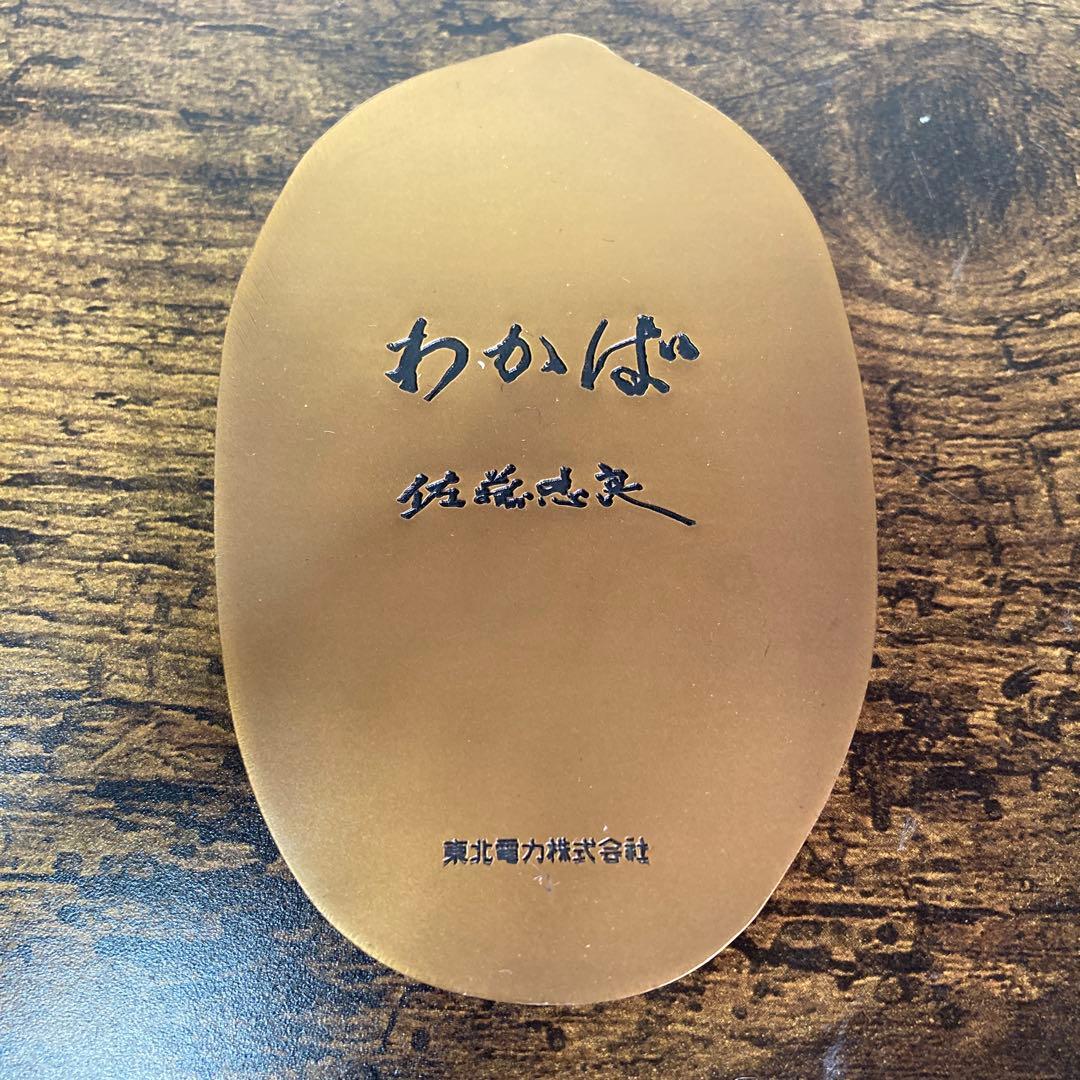 E-壁 【希少】佐藤忠良 ブロンズ 裸婦像レリーフ「わかば」東北電力創立50周年