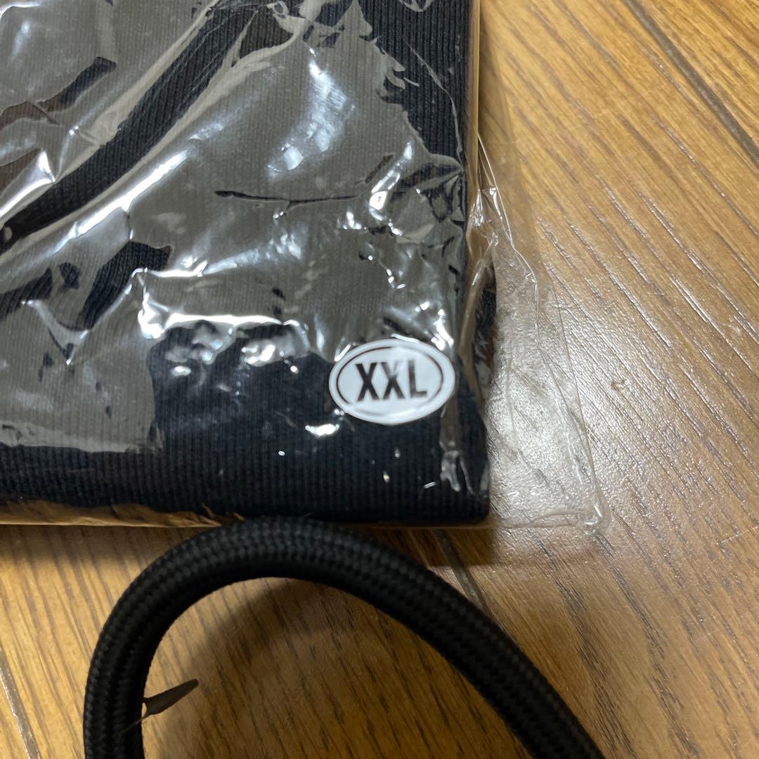 Hi-STANDARD I’M A RAT HOODIE XXL 新品未使用