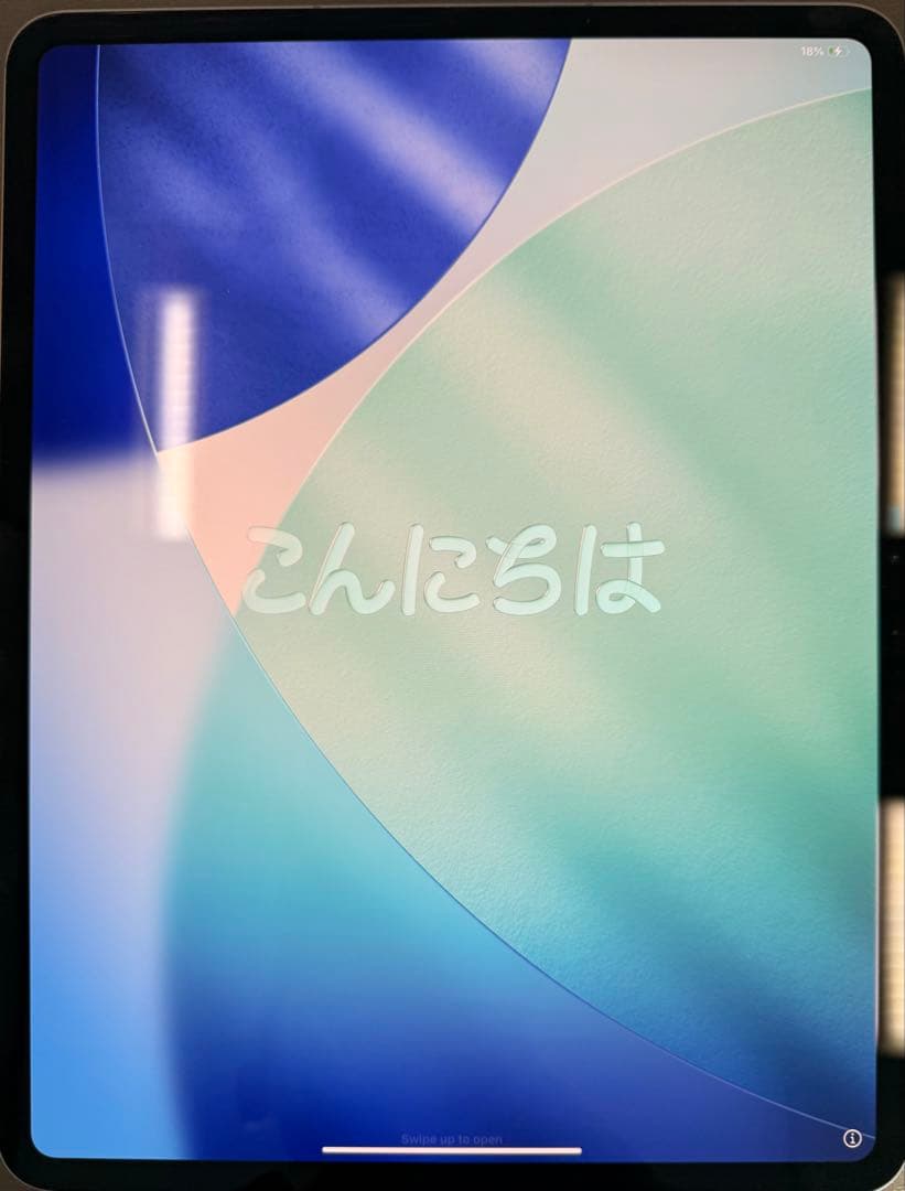 iPad Pro 13インチ M4 1TB Wi-Fi+Cellular 美品