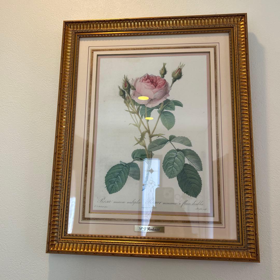 ルドゥーテ ローズ 絵額 複製画 『バラ図譜 』 ゴールドフレーム2セット