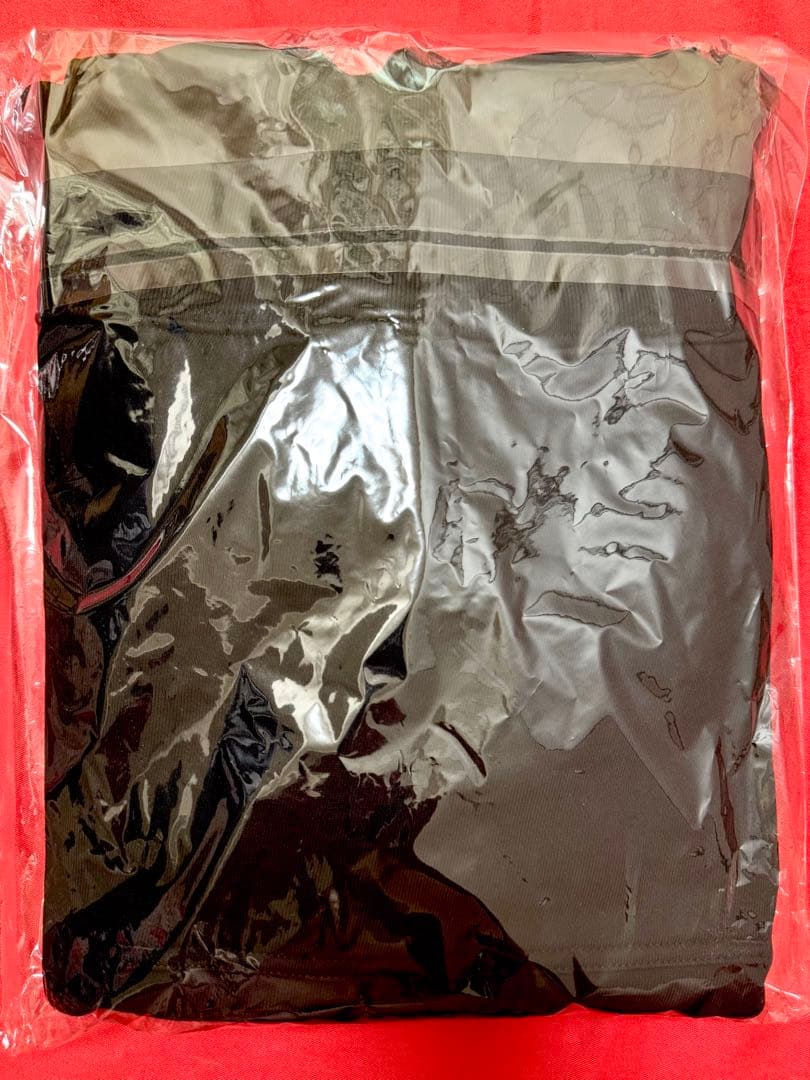 新品 KEN YOKOYAMA横山 健『DAMC』パーカー ハイスタンダード