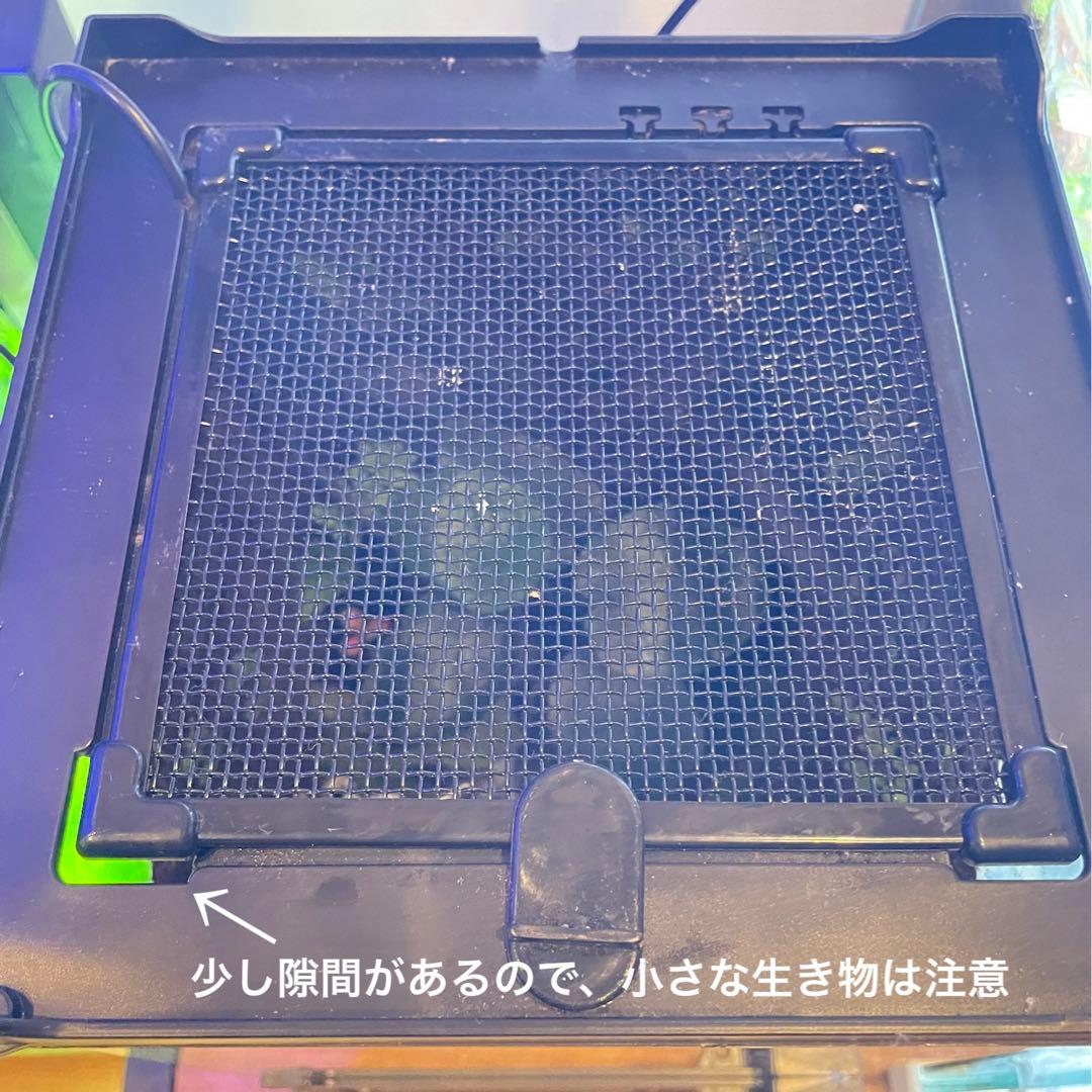 【値下げしました】レイアウト水槽 イモリウム カエルリウム