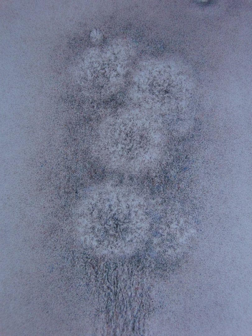 高山辰雄、【牡丹　洛陽の朝】、希少な額装用画集より、新品額装付