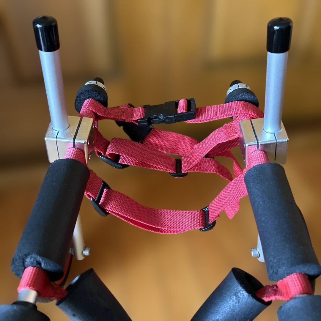 犬用 車いす 調整可能　歩行器　はな工房