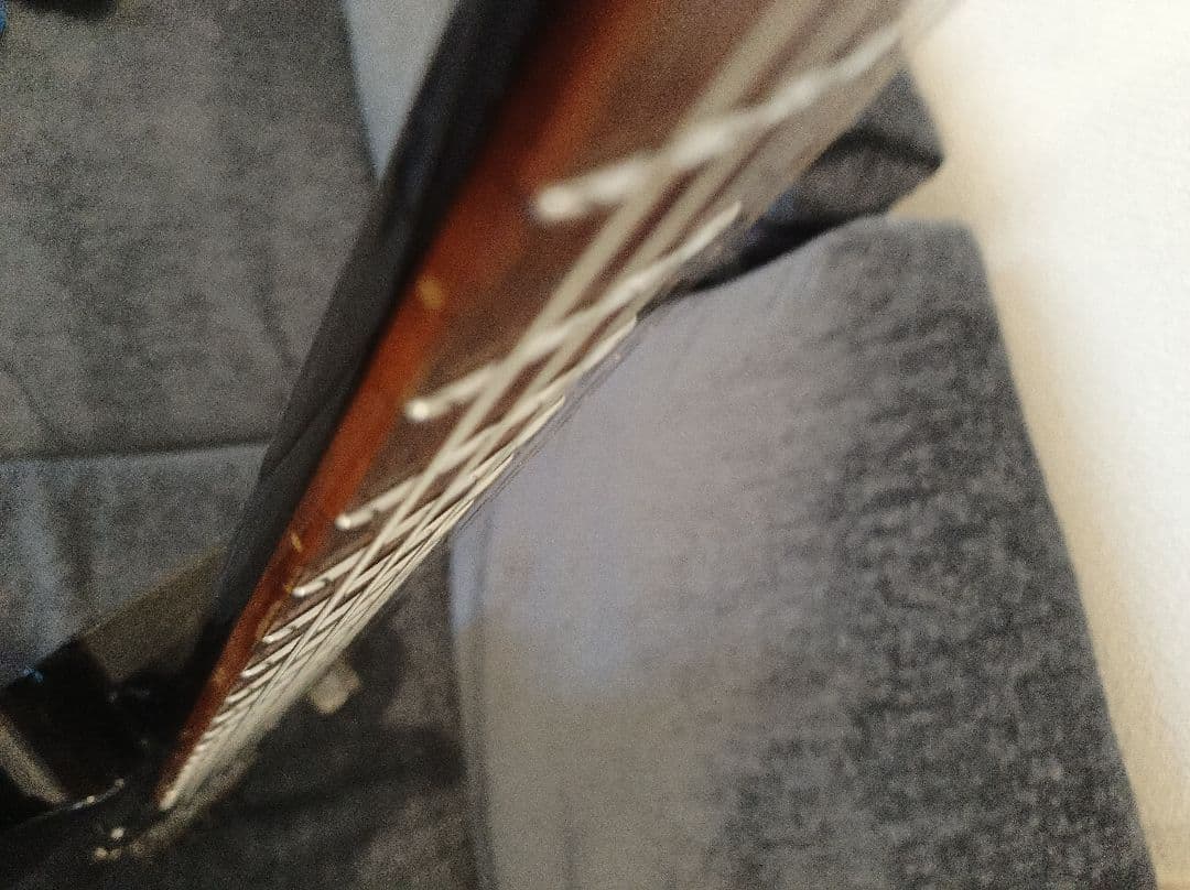 GrassRoots G-FR-62GT フォレスト フロイドローズエレキギター