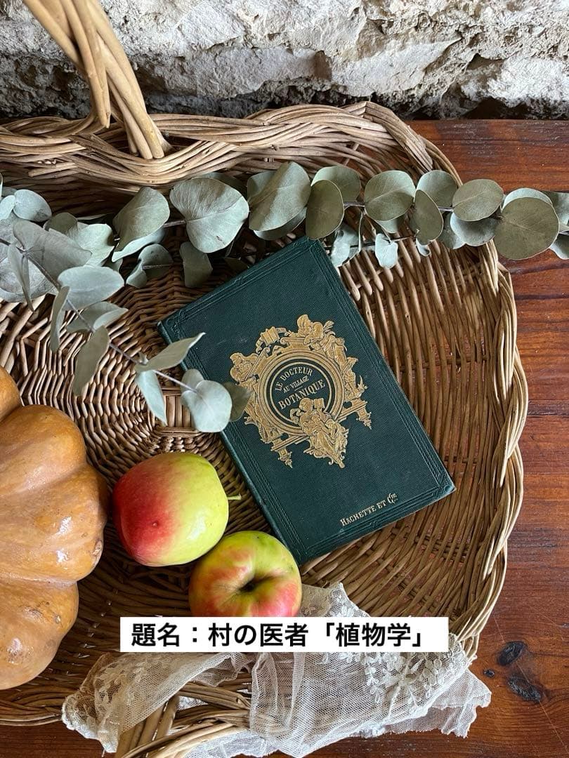 ◆フランスアンティーク｜激レア直筆サイン古書植物草花挿絵19s金彩エンボスハード