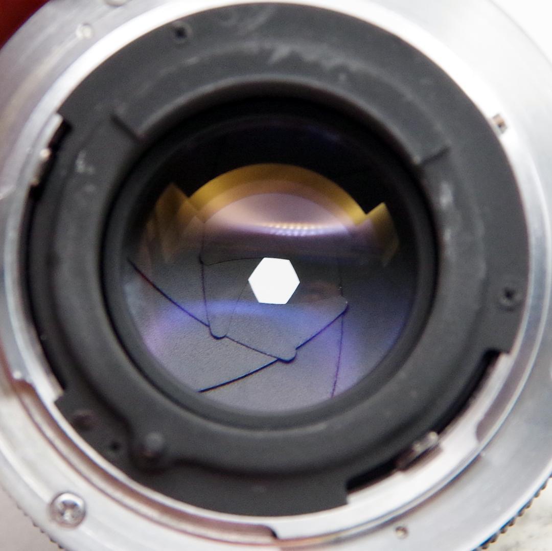 オリンパス OM-1 ブラック OM-SYSTEM 50mm F1.8 セット