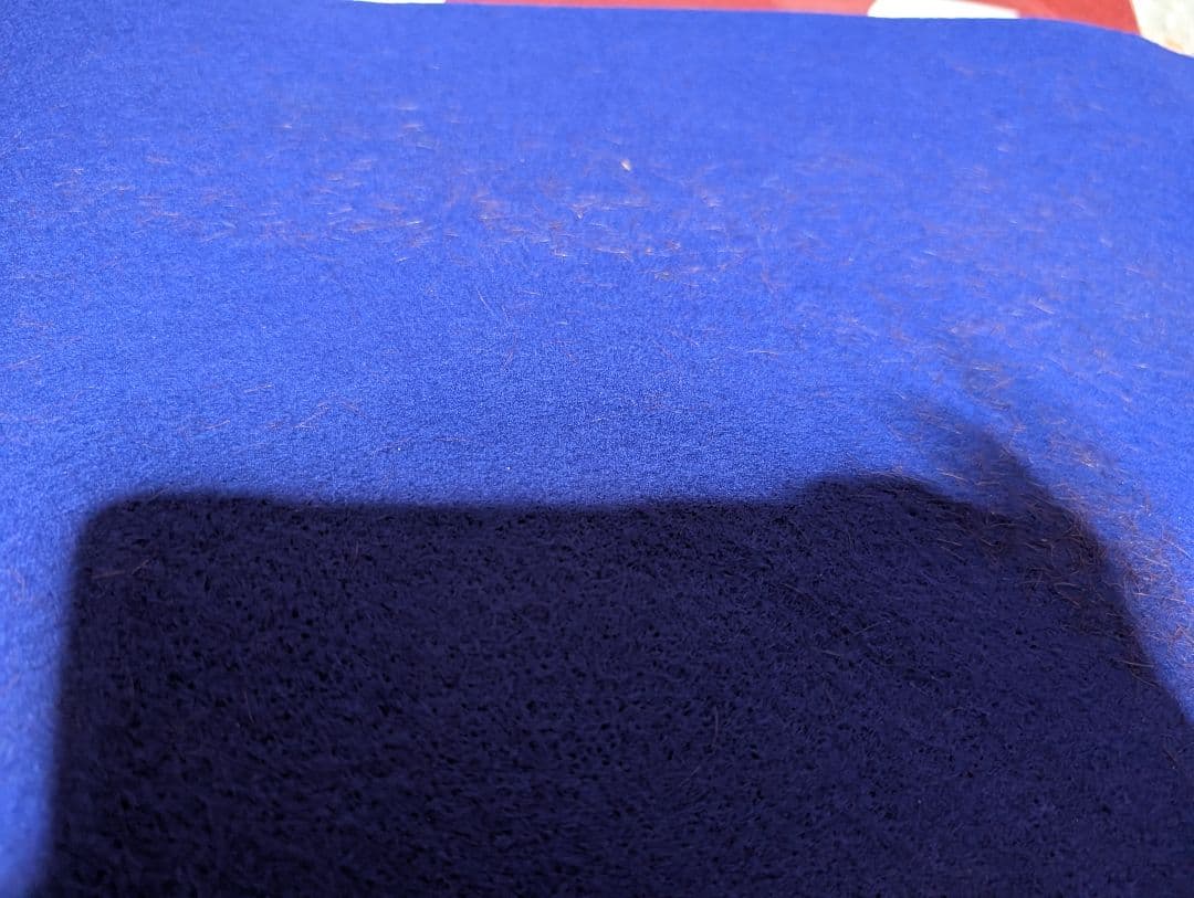 ダノンベルーガ【皐月賞実使用ゼッケン】