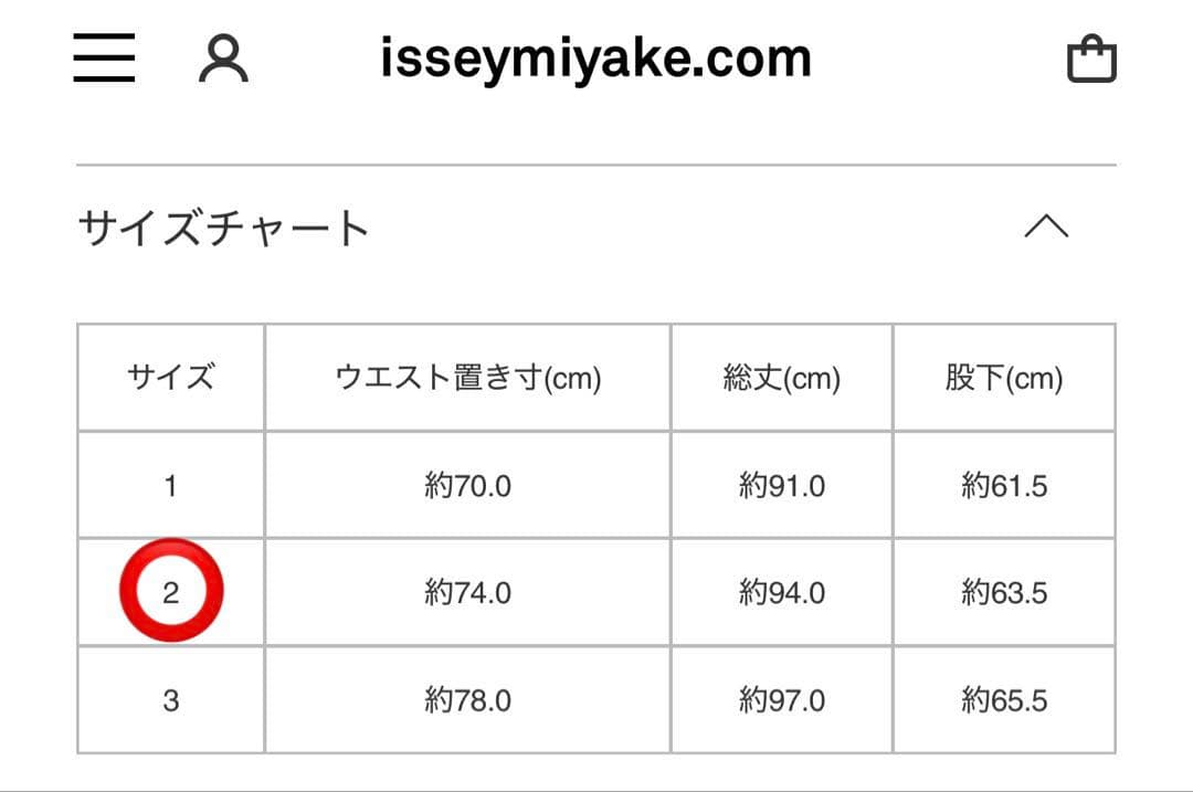 イッセイミヤケ HOMME PLISSE プリーツパンツ サルエルパンツ BR