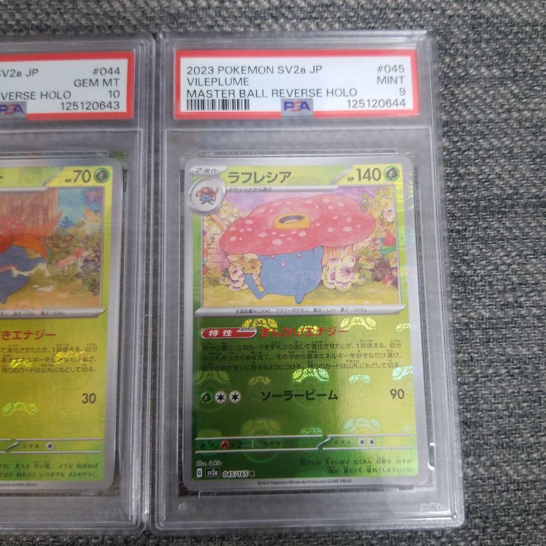 PSA9.10 連番　ナゾノクサ　クサイハナ　ラフレシア マスターボールミラー