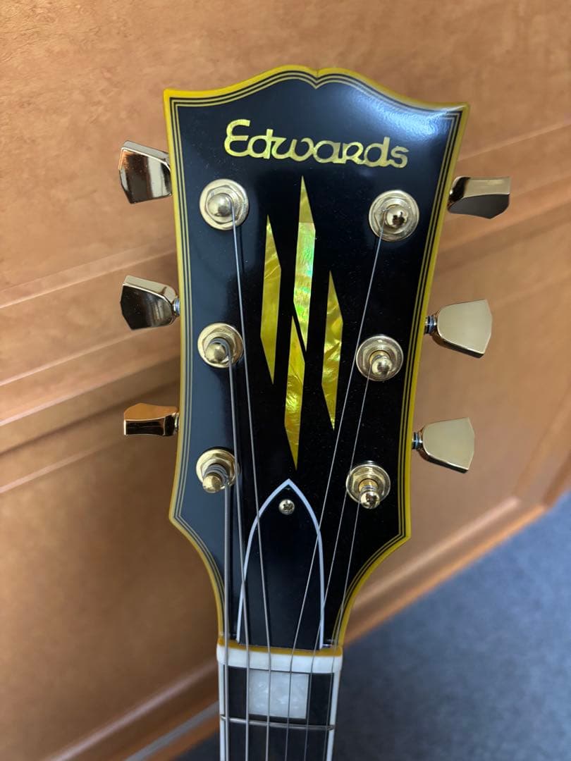 【hirosn07】EDWARDS（エドワーズ） E-SA-CT M