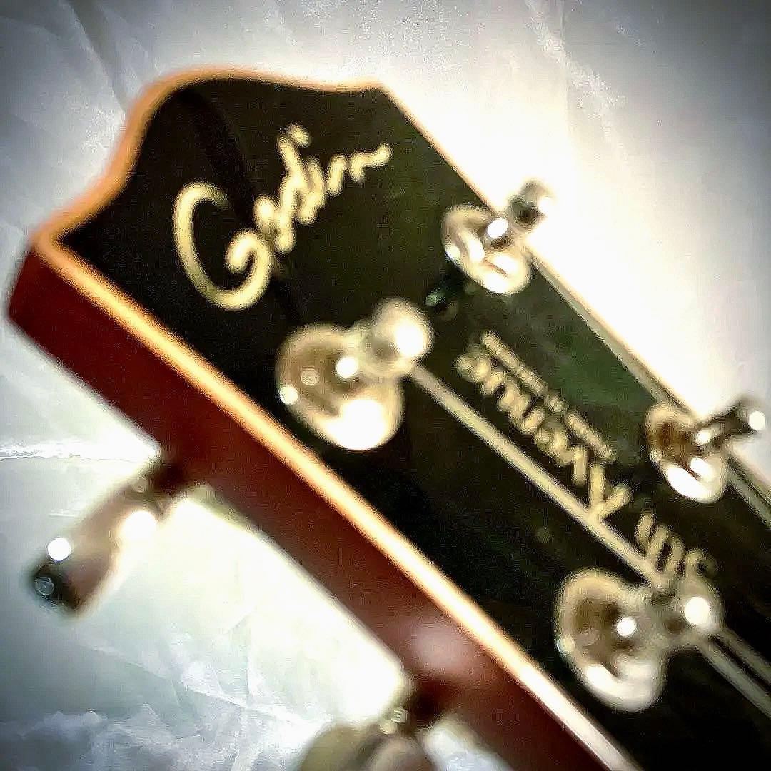 Godin 5th Avenue フルアコースティックギター