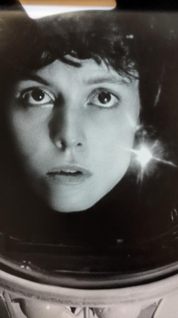 非売品　20世紀FOX代表映画写真集