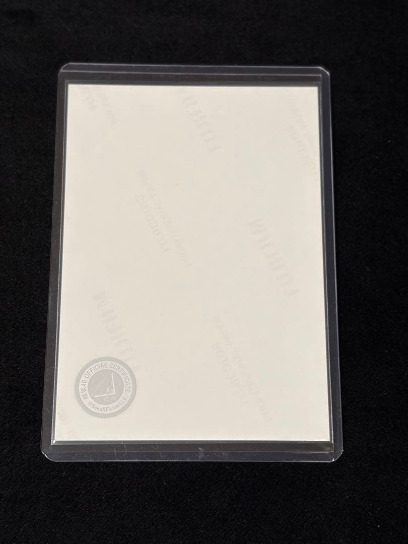 櫻坂46 浅井恋乃未 直筆サイン 生写真 2025年サンタ衣装 ヨリ