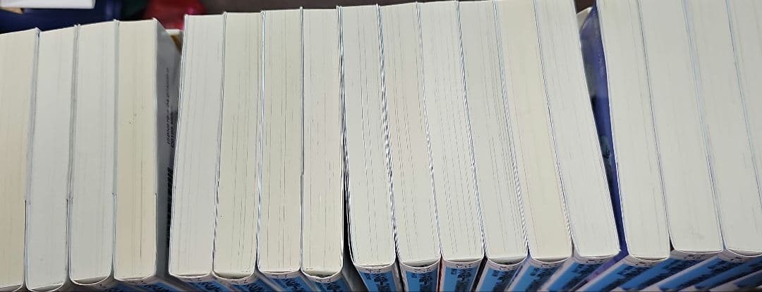 公女殿下の家庭教師. 1～19巻