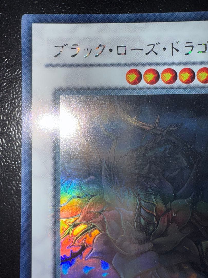 遊戯王　ブラックローズドラゴン　ホログラフィック