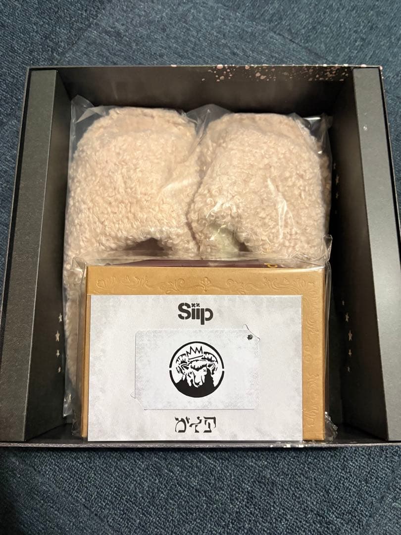 【完全生産限定】siip ガイア