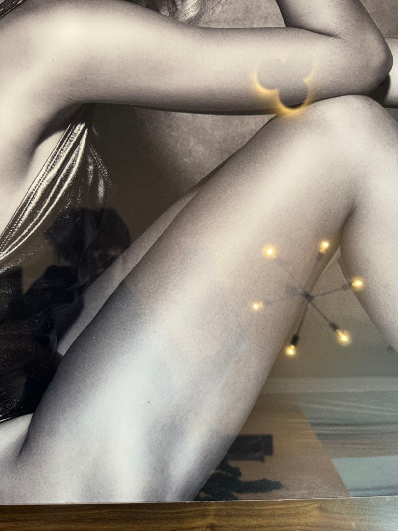 【美品】フォトグラフィアート、IV SKAYA ELENA、4/500