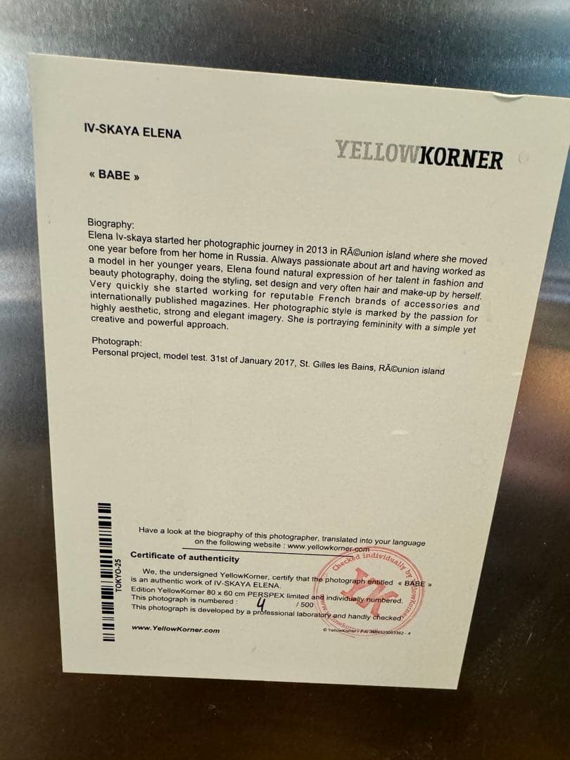 【美品】フォトグラフィアート、IV SKAYA ELENA、4/500