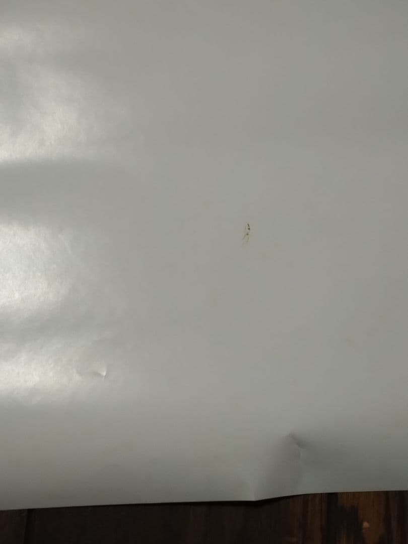 アヴリル・ラヴィーン 　Avril Ramona Lavigne　ポスター