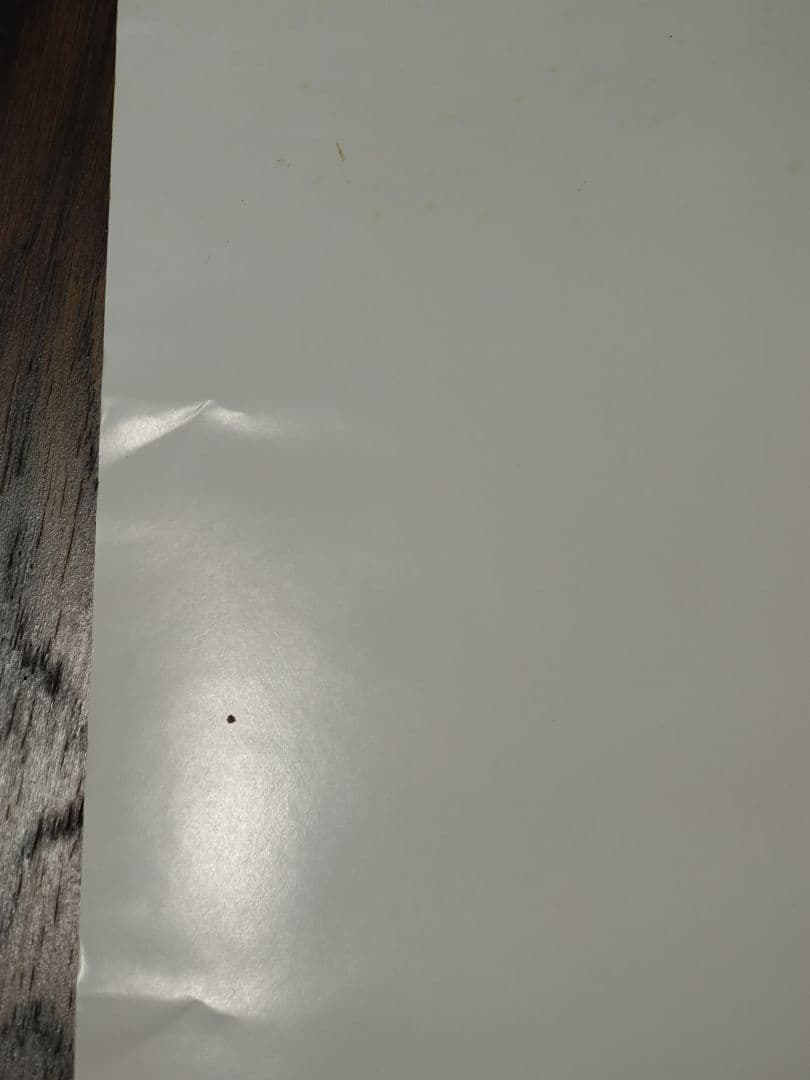 アヴリル・ラヴィーン 　Avril Ramona Lavigne　ポスター