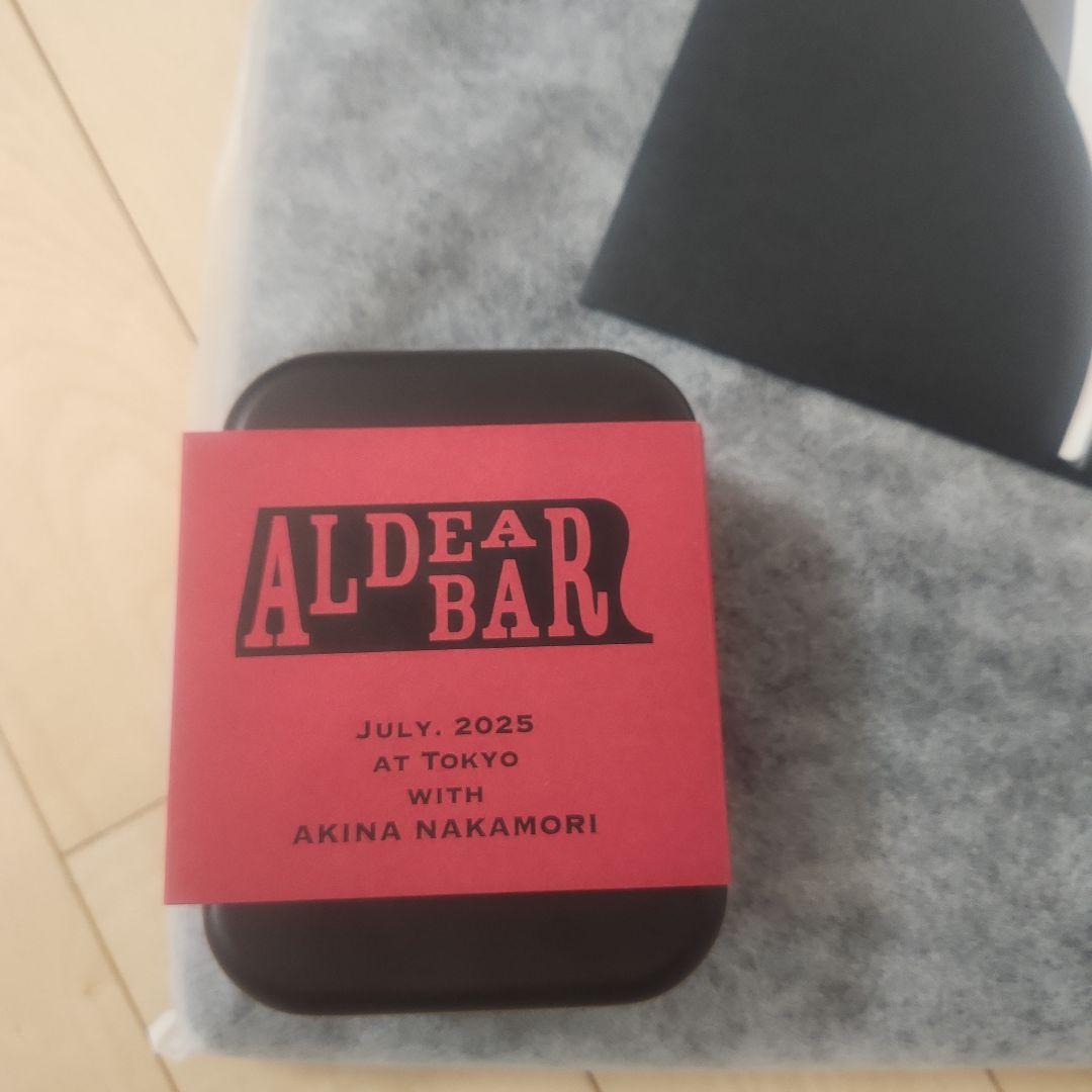 ミュージシャン AKINA NAKAMORI DINNER SHOW ALDEAR BAR