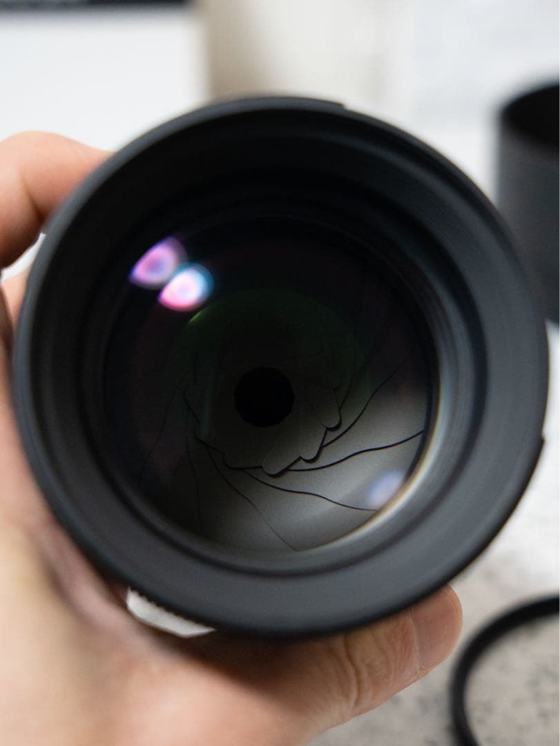 SIGMA 85mm F1.4 DG DN Artレンズ