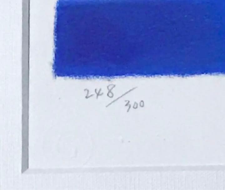 正規品【渡辺宏】ペンギン★ペンギン★パステル画★版画★ジクレー★絵画★額装済み