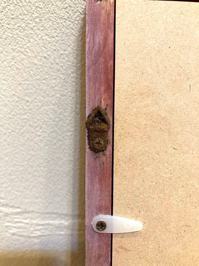 【新品未使用】東京ディズニーランド20周年記念ピンバッジセット　フレーム付き