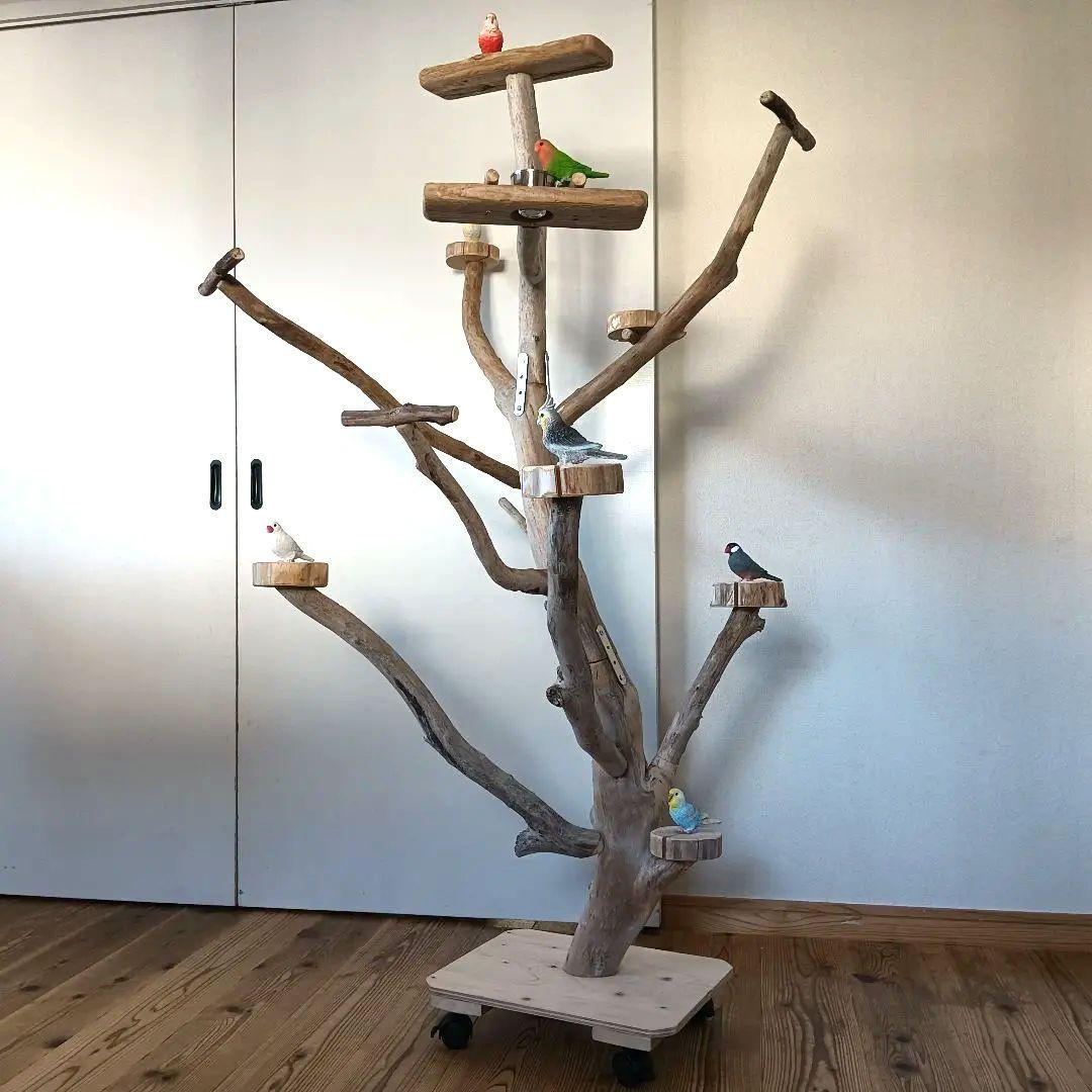 バードアスレチックジム 大型 ⑪ 天然木 自然木 流木 インコ おもちゃ