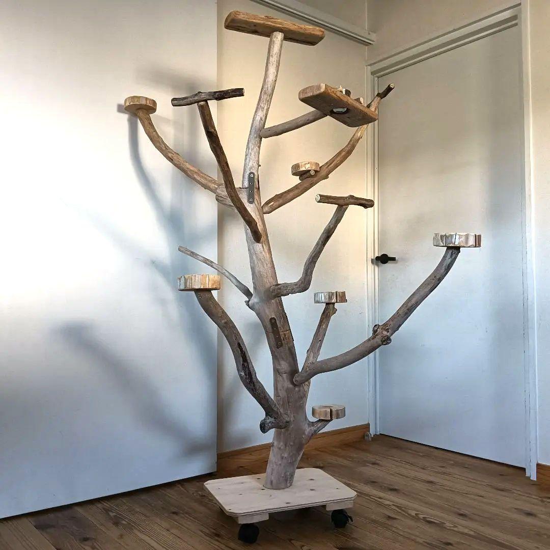 バードアスレチックジム 大型 ⑪ 天然木 自然木 流木 インコ おもちゃ