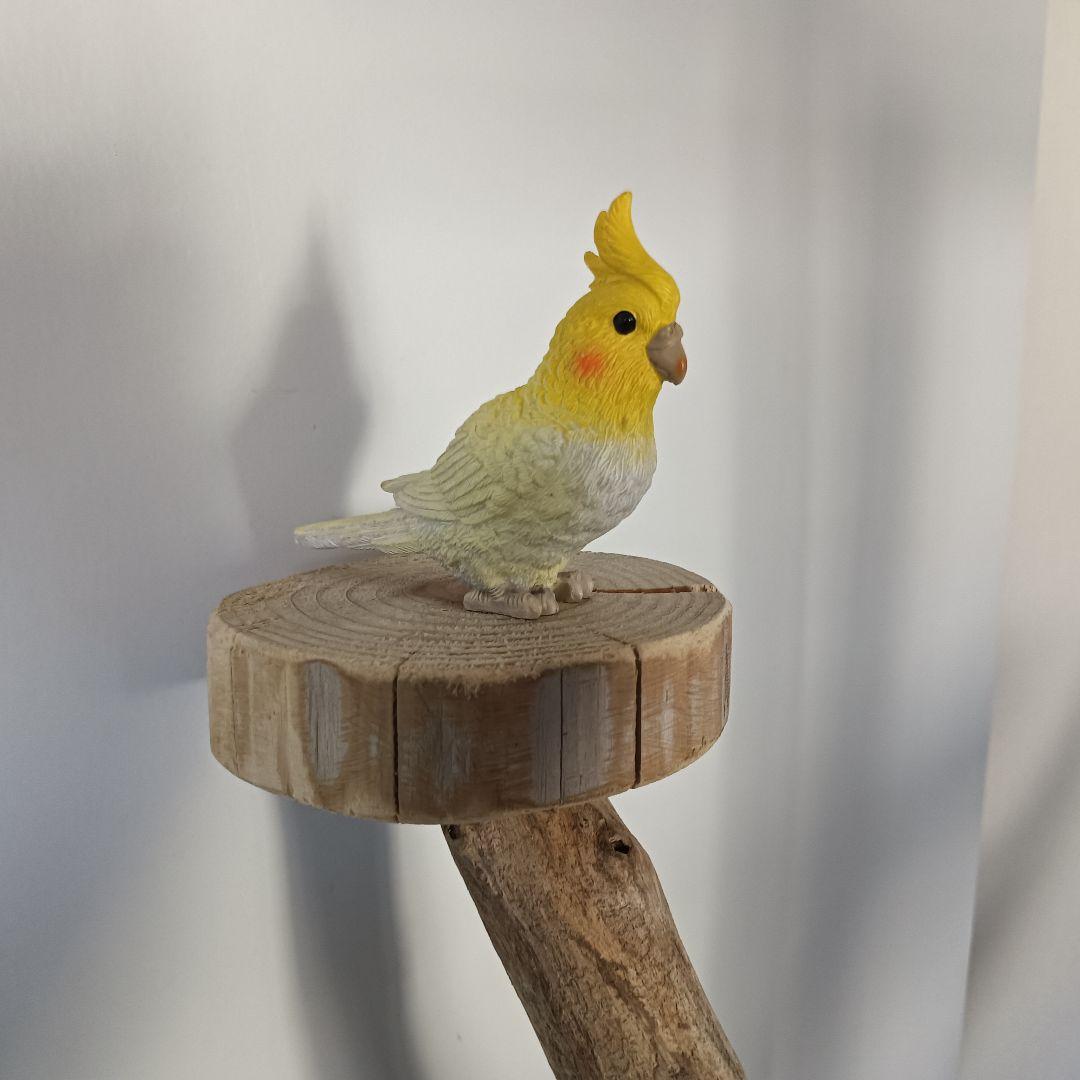 バードアスレチックジム 大型 ⑪ 天然木 自然木 流木 インコ おもちゃ