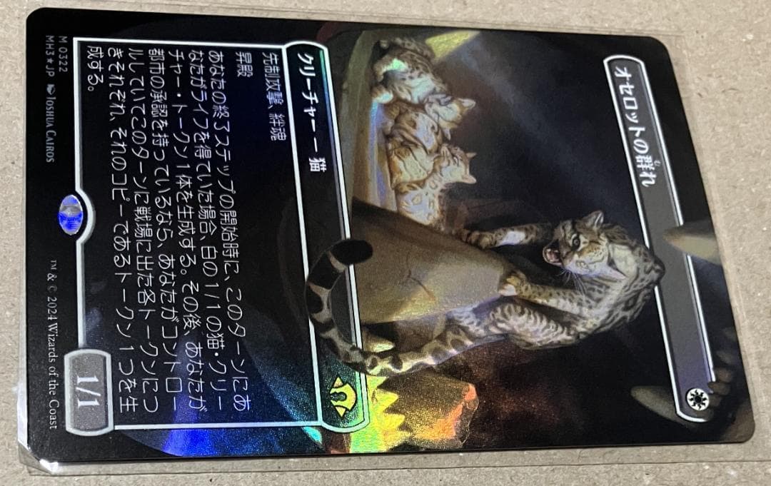 MTG オセロットの群れ ボーダーレスFoil 日本語版 モダンホライゾン3