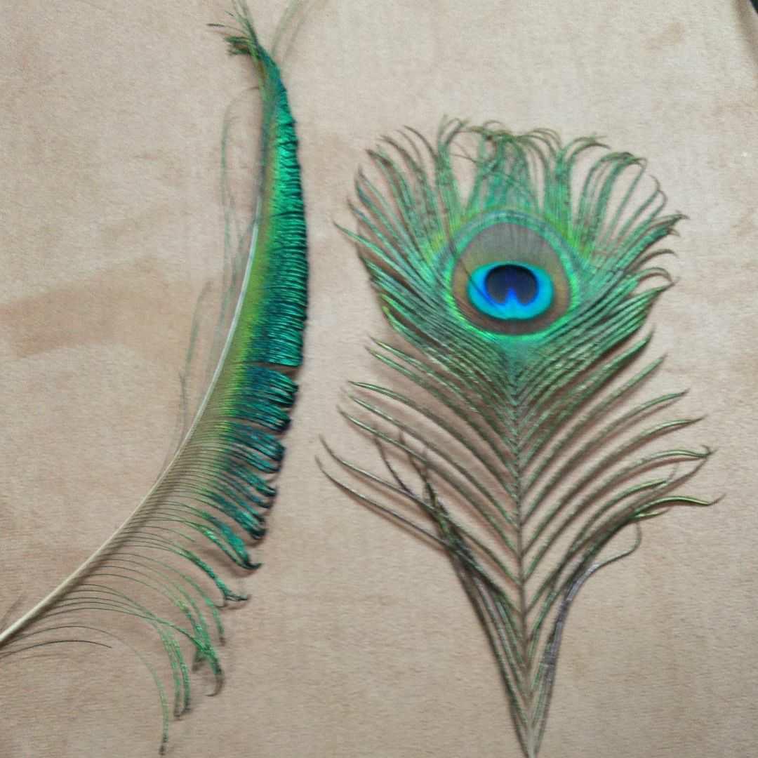 大理石　マーブル　電話機　アンティーク　孔雀の羽　尾羽　飾り羽　ペン立て　天然石