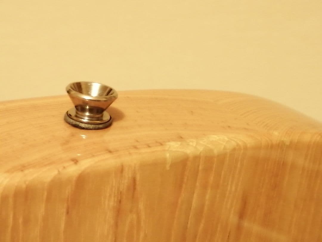 ギター Laid Back TL500