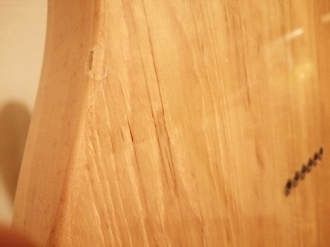 ギター Laid Back TL500