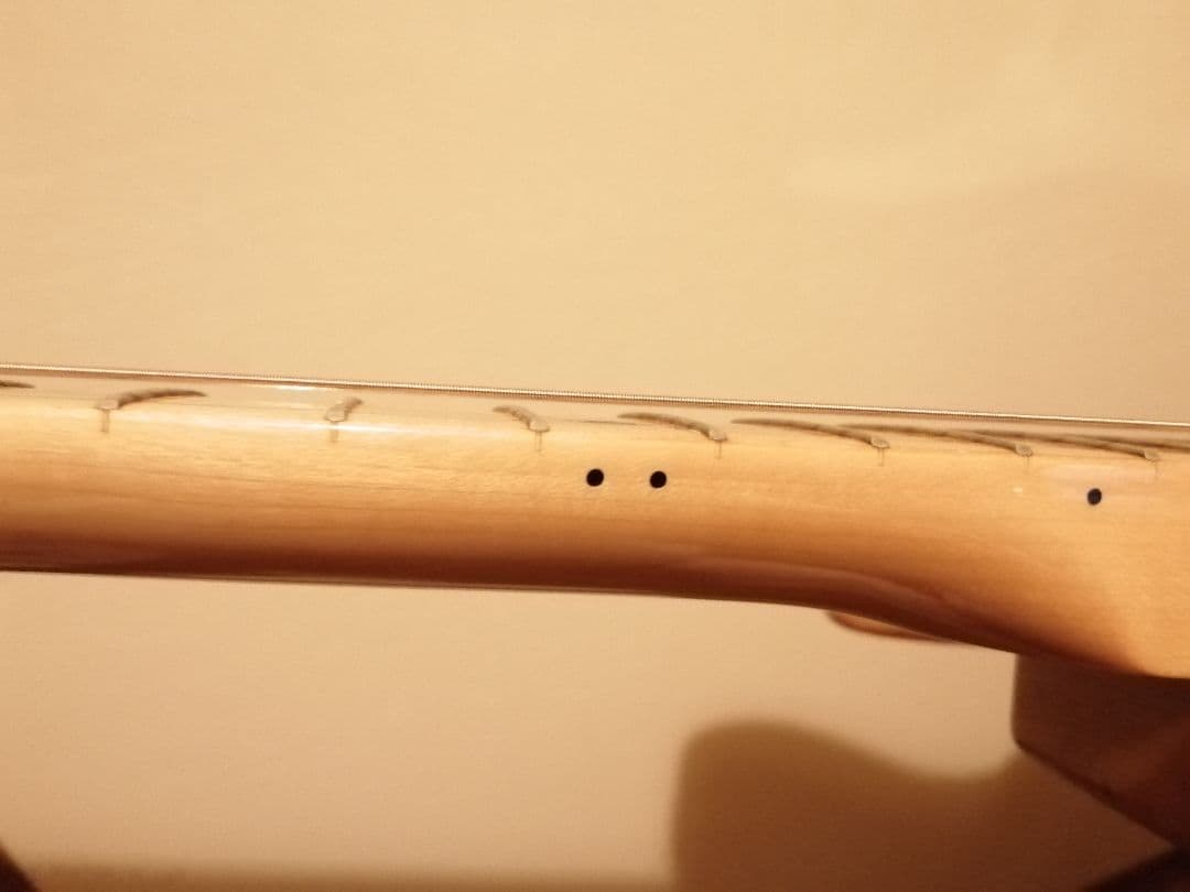 ギター Laid Back TL500