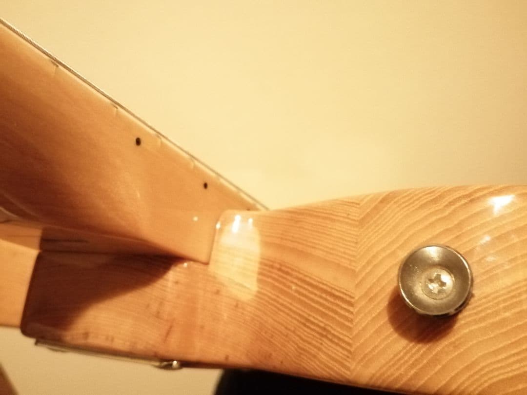 ギター Laid Back TL500