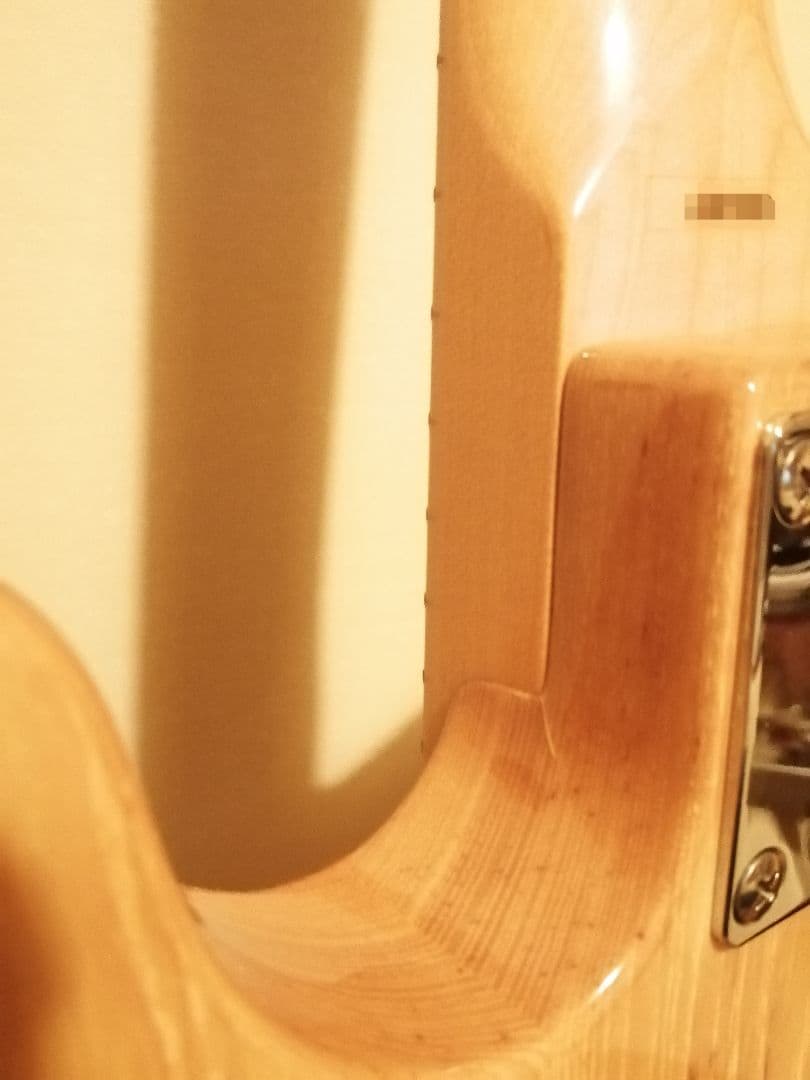 ギター Laid Back TL500