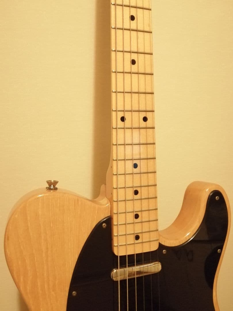 ギター Laid Back TL500