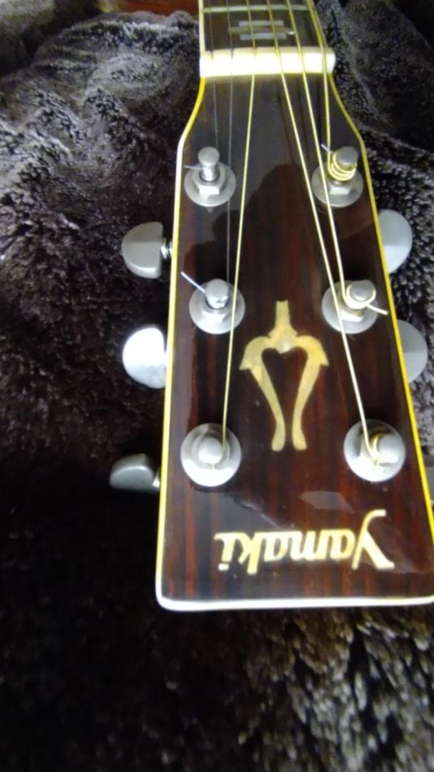 ヤマキ yamaki YW-60 アコースティックギターえぞ松単板