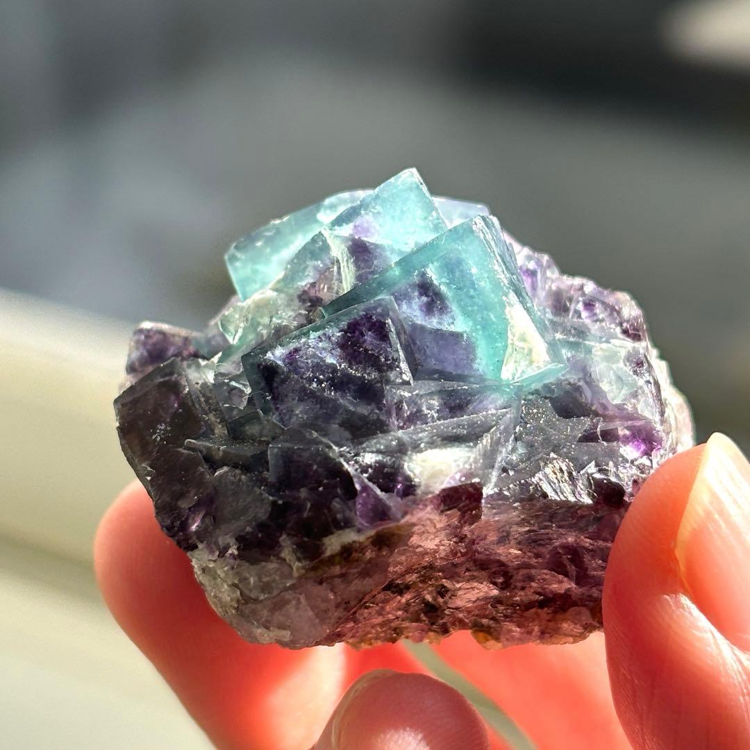 イリノイ産　ケイヴ・イン・ロック　バイカラー　フローライト　鉱物標本　原石