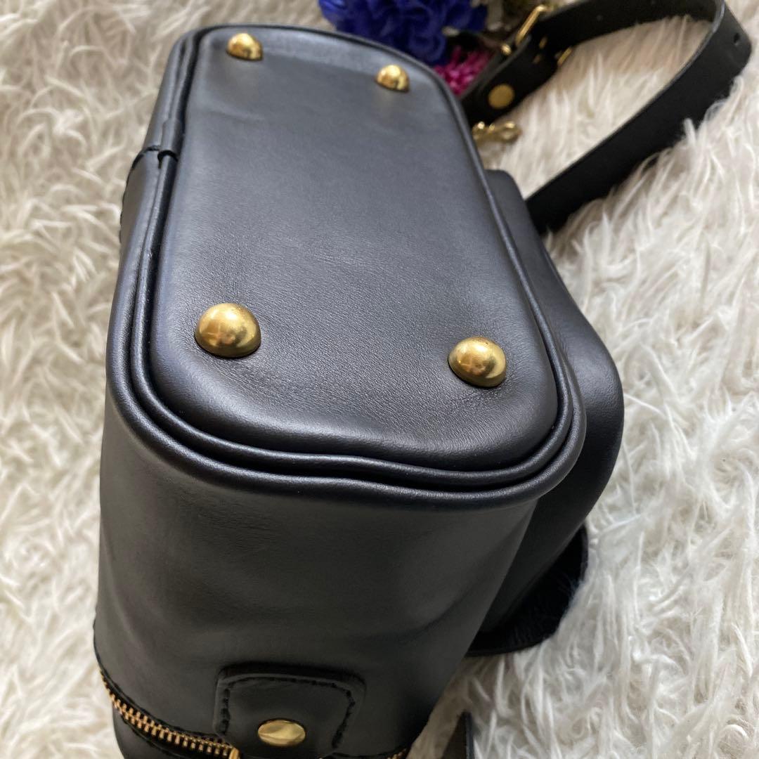 はぬえる　断捨離中HERZ ショルダーバッグ　カメラバッグ　ハードギャジ