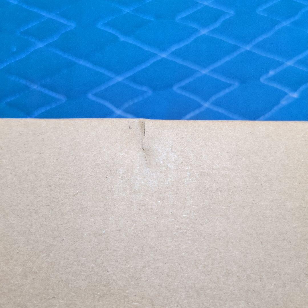 東宝30cmシリーズゴジラ（2016）第四形態 発光Ver.少年リック限定版